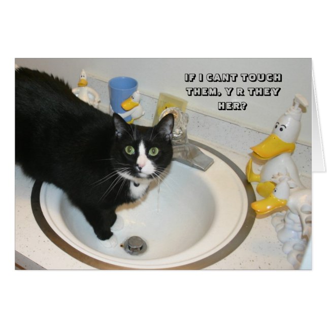 LOL猫カード (正面横)