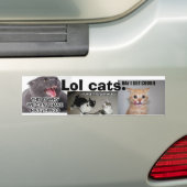 Lol猫 バンパーステッカー (車上)