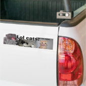 Lol猫 バンパーステッカー (トラック上)