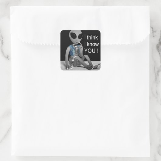 LOL – アドレス付きメールまたは写真の横 –  スクエアシール (バッグ)