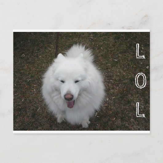 LOL ポストカード (正面)