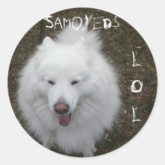 LOL ラウンドシール