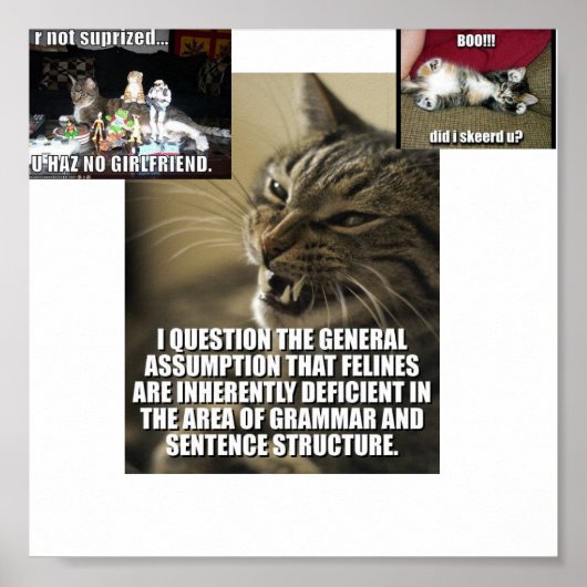 lol-catz-strike-back, boo-did-i-skerd-u_jpg_th... ポスター (正面)