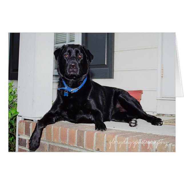 Lolaのglorydaysphotography (正面横)