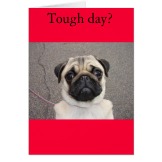 Lolaはあなたの苦痛を感じます