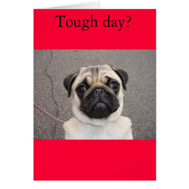 Lolaはあなたの苦痛を感じます (正面)