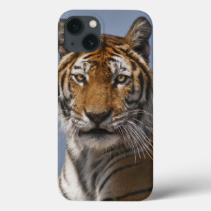 Lola iPadケース iPhone 13ケース