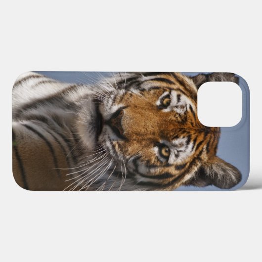 Lola iPadケース Case-Mate iPhoneケース (裏面 (横))