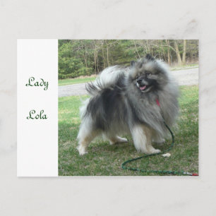 Lola Postcard女性 ポストカード