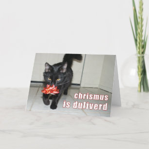 lolcatのクリスマスカード シーズンカード