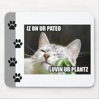 LOLCatサッシーマウスパッド マウスパッド