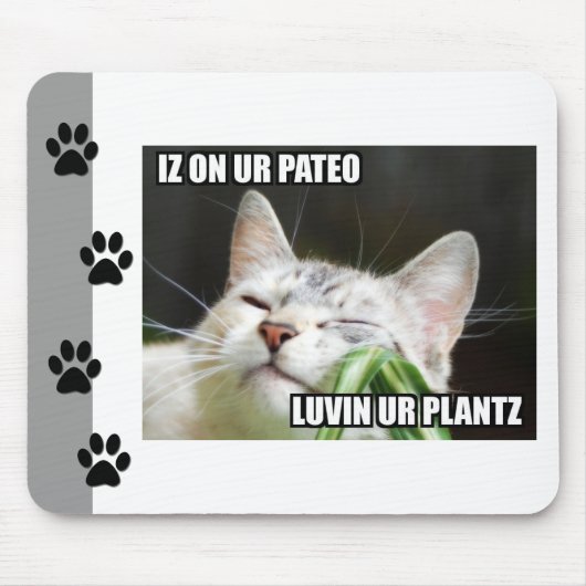 LOLCatサッシーマウスパッド マウスパッド (正面)