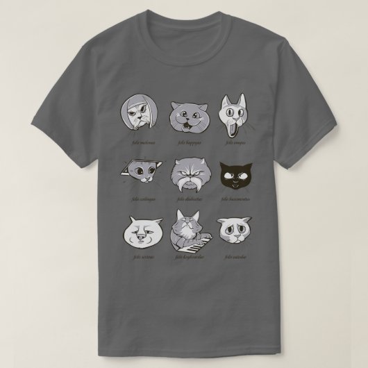 LOLcatタクソノミ Tシャツ (デザイン正面)