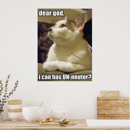 LOLcat – 神親愛 ポスター (キッチン)