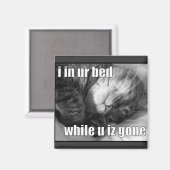 LOLCat 1 マグネット (正面/裏面)