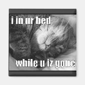 LOLCat 1 マグネット (正面)