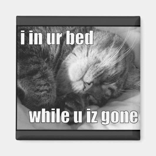 LOLCat 1 マグネット (正面)