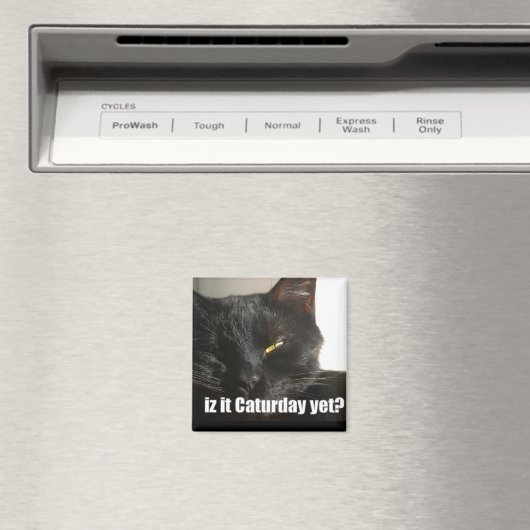 LOLCat 2 マグネット (インサイチュ (食洗機))