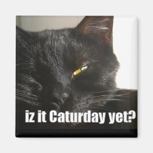 LOLCat 2 マグネット