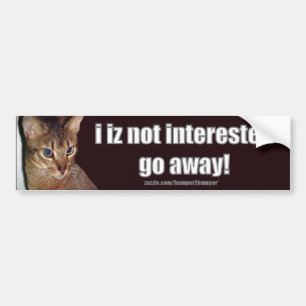LOLCat 3のバンパーステッカー バンパーステッカー