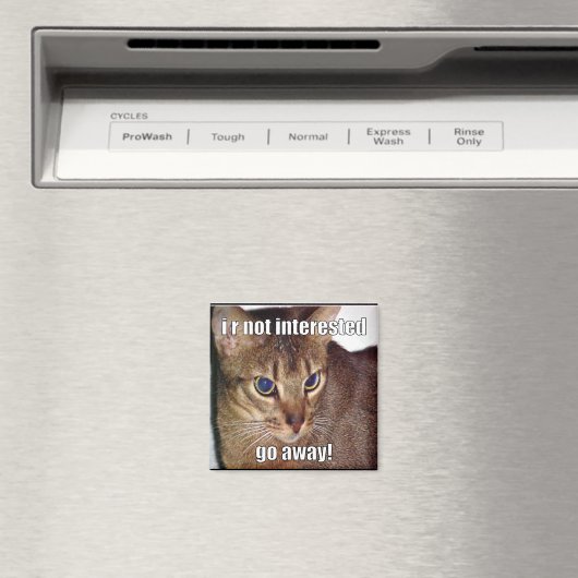 LOLCat 3 マグネット (インサイチュ (食洗機))