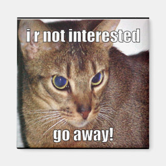 LOLCat 3 マグネット