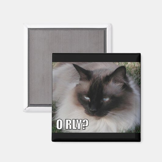 LOLCat 4 マグネット (正面/裏面)