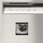 LOLCat 4 マグネット (インサイチュ (食洗機))