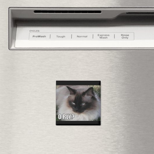 LOLCat 4 マグネット (インサイチュ (食洗機))