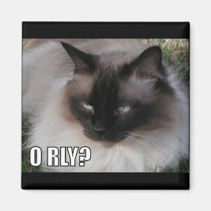 LOLCat 4 マグネット