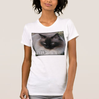 LOLCat 4 Tシャツ