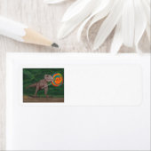 LOLLIPOP T-REX ラベル (インサイチュ)