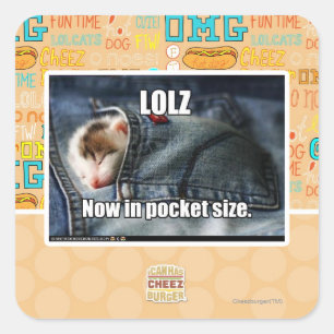 LOLZがポケットサイズに スクエアシール