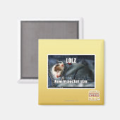 LOLZがポケットサイズに マグネット (正面/裏面)