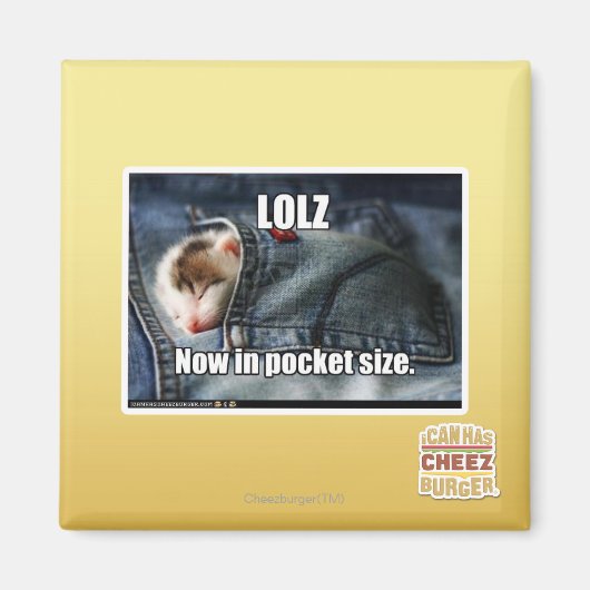 LOLZがポケットサイズに マグネット (正面)
