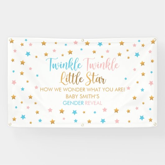 Lona Twinkle Twinkle Little Star Gender Reveal sig 横断幕 (横)