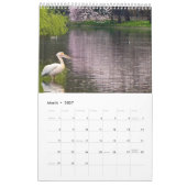 London Pelicans of St James's Park カレンダー (3月 2027)