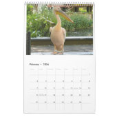 London Pelicans of St James's Park カレンダー (2月 2026)