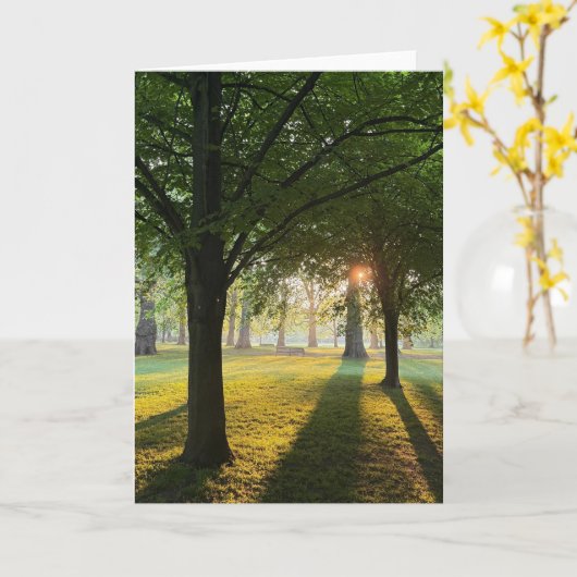 London Sunrise and Sunset カード (黄色い花)