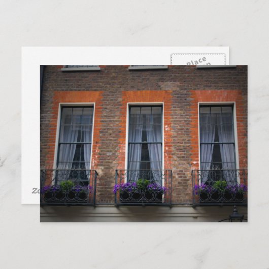 London Window Flower Boxes Postcard ポストカード (正面/裏面)