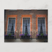 London Window Flower Boxes Postcard ポストカード (正面)