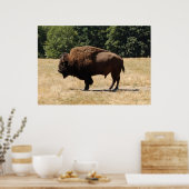 Lone Buffalo ポスター (キッチン)