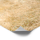 Lone Buffalo ポスター (角)