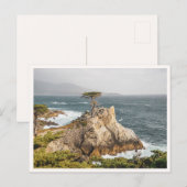 Lone Cypress Pebble Beach Monterey Photo ポストカード (正面/裏面)