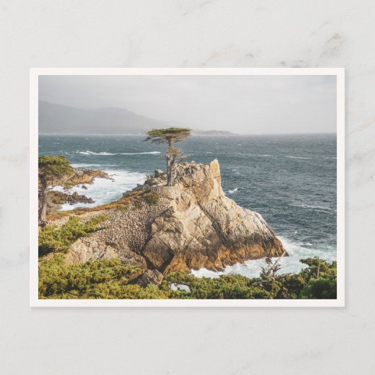 Lone Cypress Pebble Beach Monterey Photo ポストカード (正面)