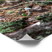 Lone Mushroom Poster ポスター (角)