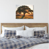 Lone Oak Hill Country Poster - Texas Landscape  キャンバスプリント (インサイチュ (寝室))