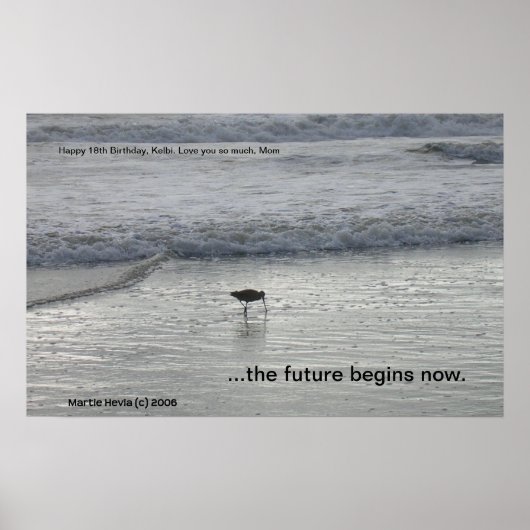 Lone Sandpiperプリント（パーソナライズ） ポスター (正面)