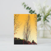 「Lone Sentinel」 ポストカード (スタンド正面)