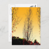 「Lone Sentinel」 ポストカード (正面/裏面)